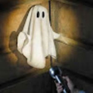 Meet your Posher, Tarlia